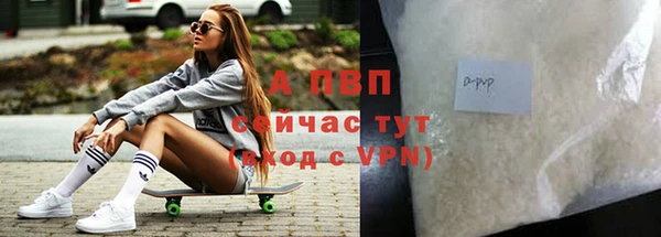 спиды Абаза